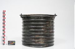 Foto von Bronzerippenziste (NHMW-PRAE-025670)